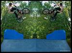 (72) ez7 bmx montage.jpg    (1000x730)    465 KB                              click to see enlarged picture